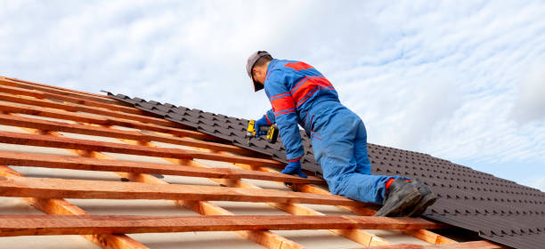 Best 4 Ply Roofing  in Palmetto, FL